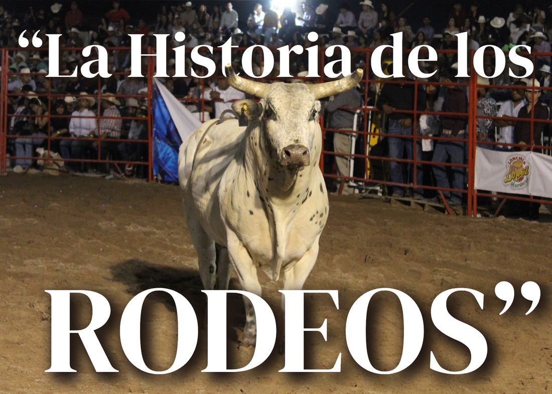 Origen y desarrollo de los rodeos vaqueros